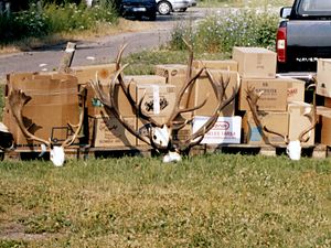 groups and for individual hunters