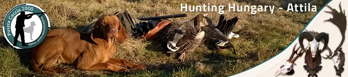 hunting trip hungary